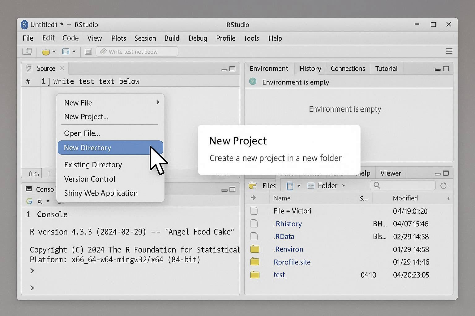 RStudio Project Type Selection